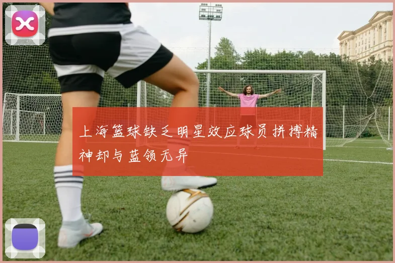 上海篮球缺乏明星效应球员拼搏精神却与蓝领无异